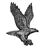 Орел 220х145 мм китай Орел 220х145 мм китай