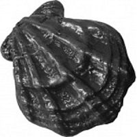 Камень чугунный "Ракушка малая" КЧР-3