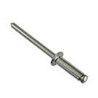 Заклепка вытяжная комбинированная. Сталь-сталь 4,8х16 /250/ Заклепка вытяжная комбинированная. Сталь-сталь 4,8х16 /250/