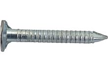 Гвозди ершённые с большой головкой (цинк) 3,0х30 /1кг/ Гвозди ершённые с большой головкой (цинк) 3,0х30 /1кг/