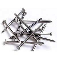 Гвозди строительные 1,2х20 мм /1 кг/ Гвозди строительные 1,2х20 мм /1 кг/